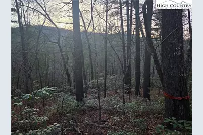 Lot 105 Roaring Ridge Road, Deep Gap, NC 28618 - Photo 1