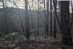 Lot 105 Roaring Ridge Rd, Deep Gap, NC 28618 - Photo 1