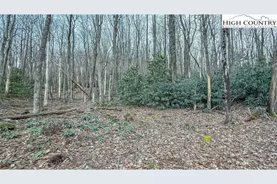 Tbd Lot 61 Wildcat Wilderness Parkway, Deep Gap, NC 28618 - Photo 8