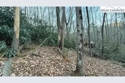 Tbd Lot 61 Wildcat Wilderness Parkway, Deep Gap, NC 28618 - Photo 4