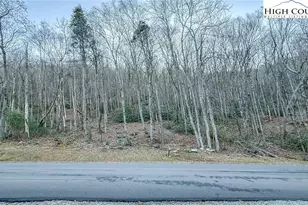 Tbd Lot 61 Wildcat Wilderness Pkwy, Deep Gap, NC 28618 - Photo 1