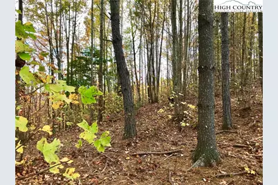 Tbd Johns Ridge Parkway, Lenoir, NC 28645 - Photo 2