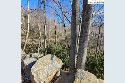 253 Poplar Road, Beech Mountain, NC 28604 - Photo 4