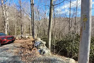 253 Poplar Rd, Beech Mountain, NC 28604 - Photo 1