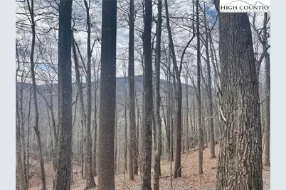 3 Jackson Ridge Road, Boone, NC 28607 - Photo 1