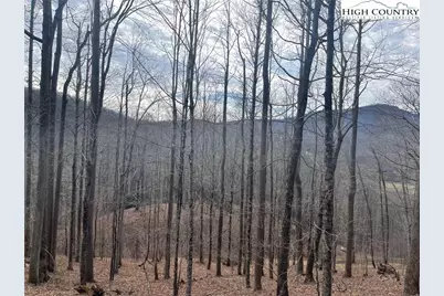 10 Jackson Ridge Road, Boone, NC 28607 - Photo 2