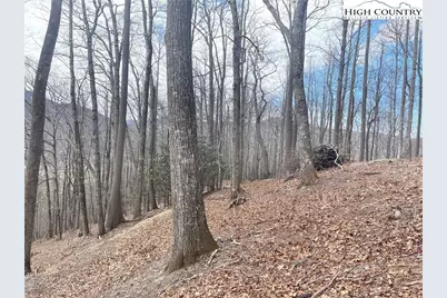 13 Jackson Ridge Road, Boone, NC 28607 - Photo 2