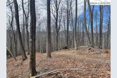 13 Jackson Ridge Road, Boone, NC 28607 - Photo 4