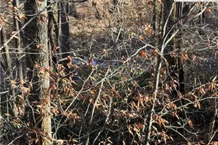 18 N US 19-E Hwy, Newland, NC 28657 - Photo 22