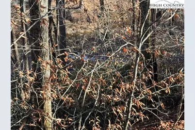 Tbd Squirrel Creek Road, Newland, NC 28657 - Photo 20