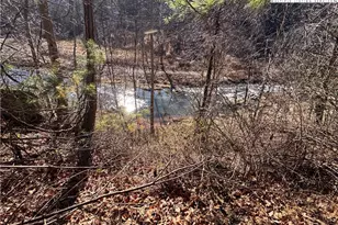 Tbd Squirrel Creek Rd, Newland, NC 28657 - Photo 10