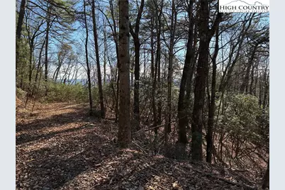 Lot 27 Bobcat Mountain Road, Purlear, NC 28665 - Photo 6