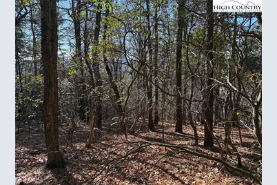 Lot 27 Bobcat Mountain Road, Purlear, NC 28665 - Photo 14