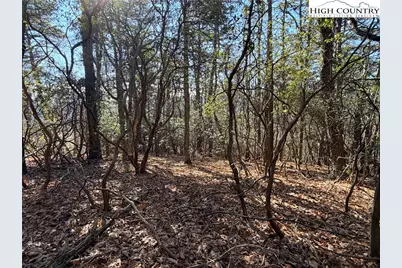 Lot 27 Bobcat Mountain Road, Purlear, NC 28665 - Photo 10