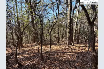 Lot 27 Bobcat Mountain Road, Purlear, NC 28665 - Photo 2