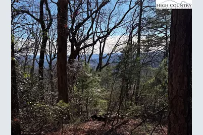 Lot 27 Bobcat Mountain Road, Purlear, NC 28665 - Photo 2