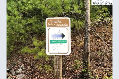 Lot 27 Bobcat Mountain Road, Purlear, NC 28665 - Photo 26