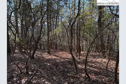 Lot 27 Bobcat Mountain Road, Purlear, NC 28665 - Photo 12