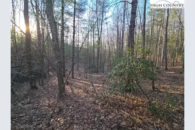 Tbd Peck Peak Rd, Jefferson, NC 28640 - Photo 4