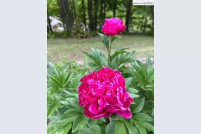 111 Peace Hill Road, Fleetwood, NC 28626 - Photo 44