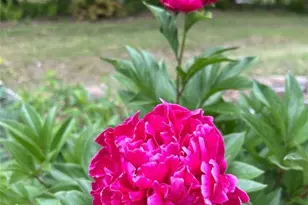 111 Peace Hill Rd, Fleetwood, NC 28626 - Photo 44