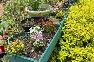 111 Peace Hill Rd, Fleetwood, NC 28626 - Photo 38