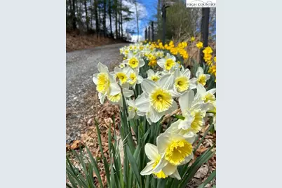 111 Peace Hill Road, Fleetwood, NC 28626 - Photo 42