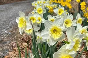 111 Peace Hill Rd, Fleetwood, NC 28626 - Photo 42