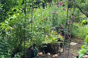 111 Peace Hill Rd, Fleetwood, NC 28626 - Photo 34