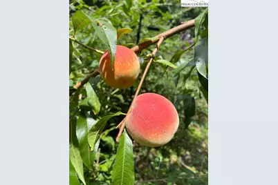 111 Peace Hill Road, Fleetwood, NC 28626 - Photo 40