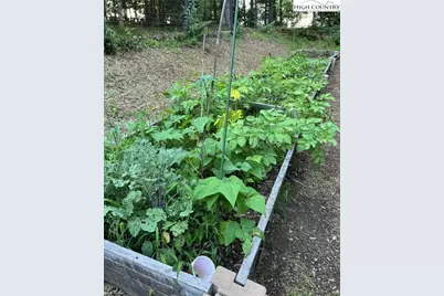 111 Peace Hill Road, Fleetwood, NC 28626 - Photo 36