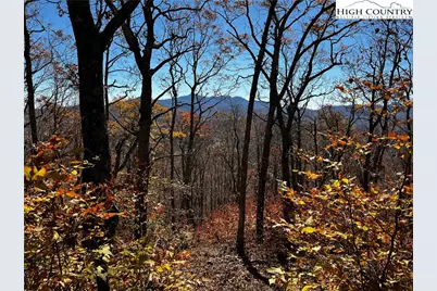 Lot 2 Chappell Farm Road, Banner Elk, NC 28604 - Photo 6