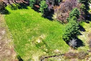 Tba Park Vista Rd, West Jefferson, NC 28694 - Photo 1