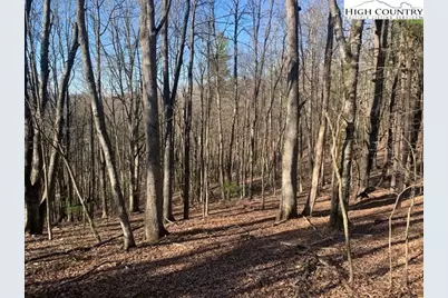 Tba Park Vista Road, West Jefferson, NC 28694 - Photo 12