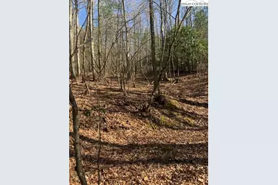 Tba Park Vista Road, West Jefferson, NC 28694 - Photo 8