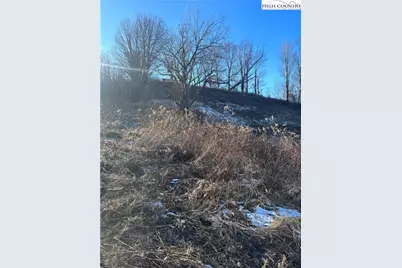 8173 Old US Highway 421, Zionville, NC 28698 - Photo 12