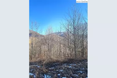 8173 Old US Highway 421, Zionville, NC 28698 - Photo 8