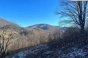 8173 Old US Hwy 421, Zionville, NC 28698 - Photo 1