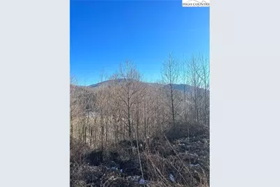 8173 Old US Highway 421, Zionville, NC 28698 - Photo 14