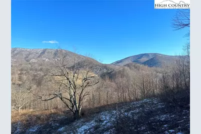 8173 Old US Highway 421, Zionville, NC 28698 - Photo 4