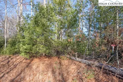 Tbd Prime Circle, Piney Creek, NC 28663 - Photo 4