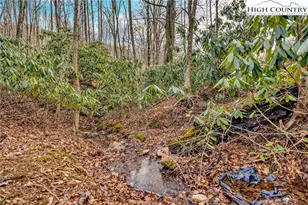 157 Noahs Ridge, Fleetwood, NC 28626 - Photo 50