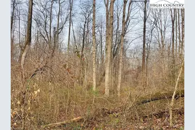 000 Union Hill Road, Thurmond, NC 28683 - Photo 4