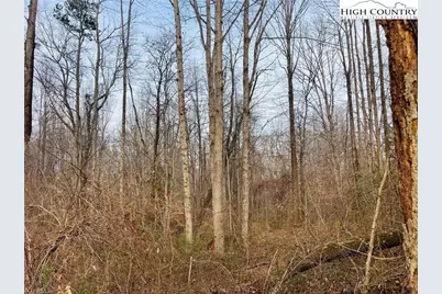 000 Union Hill Road, Thurmond, NC 28683 - Photo 6