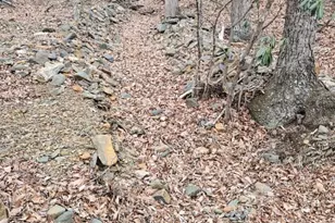 155 Panther Den Estates, Jefferson, NC 28640 - Photo 24