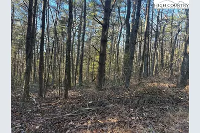 Lot #24 Eagles Nest Lane, Glade Valley, NC 28627 - Photo 4