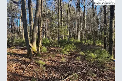 Tbd Gentry Hill Lane, Laurel Springs, NC 28644 - Photo 6