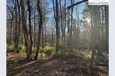 Tbd Gentry Hill Lane, Laurel Springs, NC 28644 - Photo 8