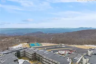 301 Pinnacle Inn Rd, Beech Mountain, NC 28604 - Photo 24