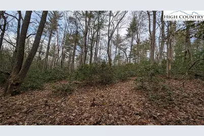 Lot 29 Walden Lane, West Jefferson, NC 28694 - Photo 10